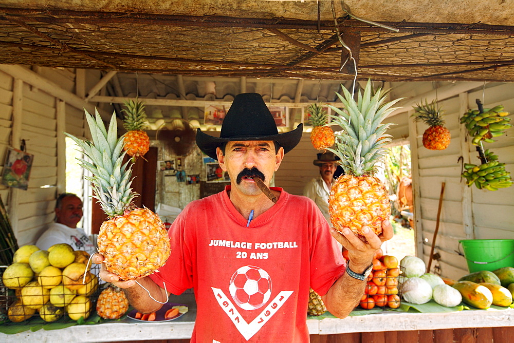 A fruit vendor holds pineapples at his fruit stand in the in the Vinales Valley, in the Pinar del Rio Province of Cuba. The Vinales Valley has been on UNESCO's World Heritage List since November 1999 as a cultural landscape enriched by traditional farm and village architecture. Old-fashioned farming methods are still used in Vinales, notably to grow tobacco.