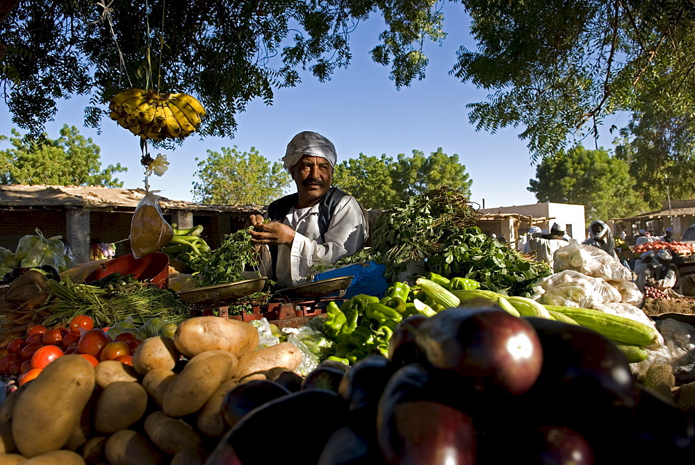 Vegetables are usually produced by small farmers in rain-fed areas, irrigated private farms or the big government schemes.