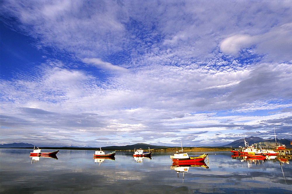 A small fleet of wooden fishing boats lie anchored in Puerto Montt, Llanquihue Province, Chile on January 31, 2006. Despite being a powerful economic force in the region, the wild  fishing industry has become threatened by the rapid rise in salmon aquaculture