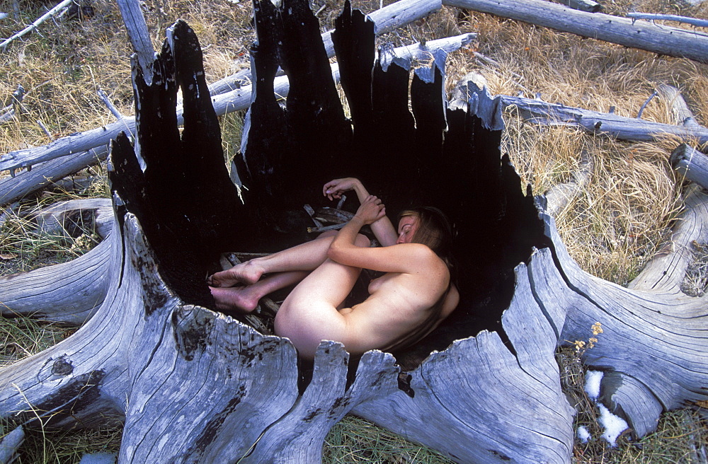 A nude female model poses inside a burned out tree stump in Wyoming.