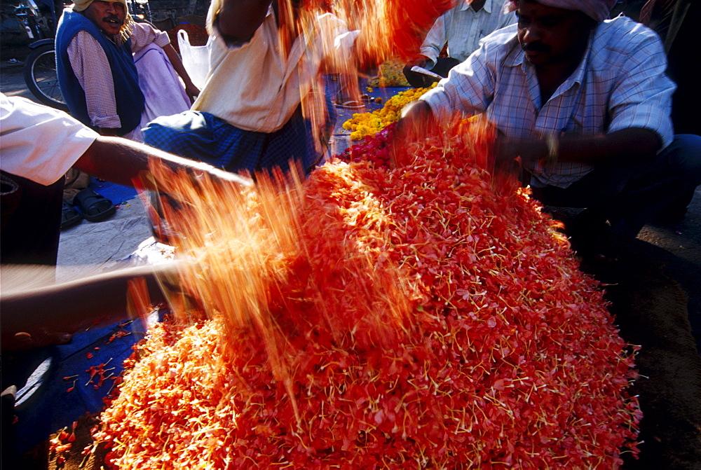 Flower market in India.