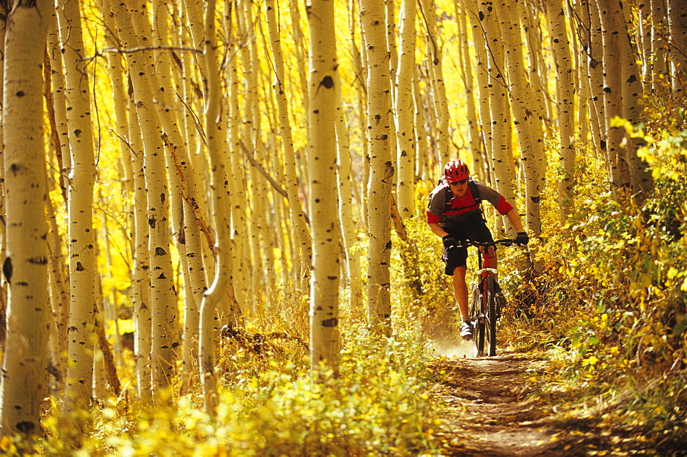 Man fall mountain biking in Park City, Utah.