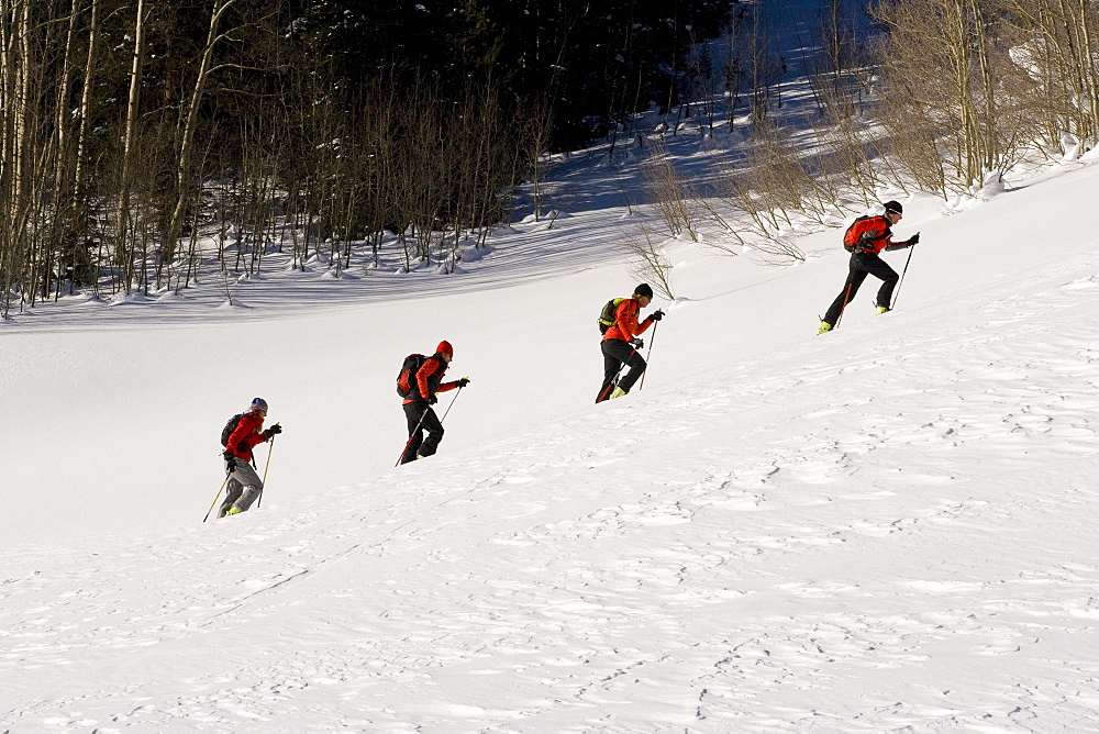 Four skiers alpine touring in Colorado.