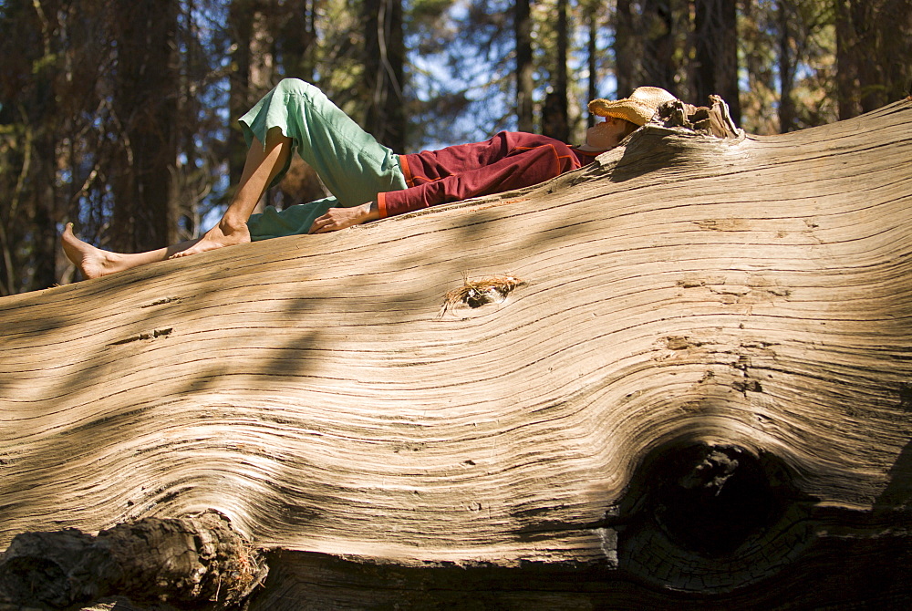 A young yoman naps on a giant  downed tree.