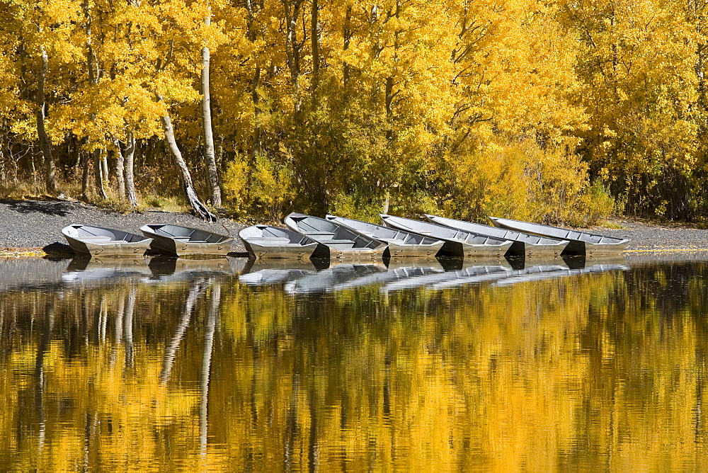 A row of fishing boats and autumn aspens trees reflecting in Silver Lake in the Sierra mountains of California