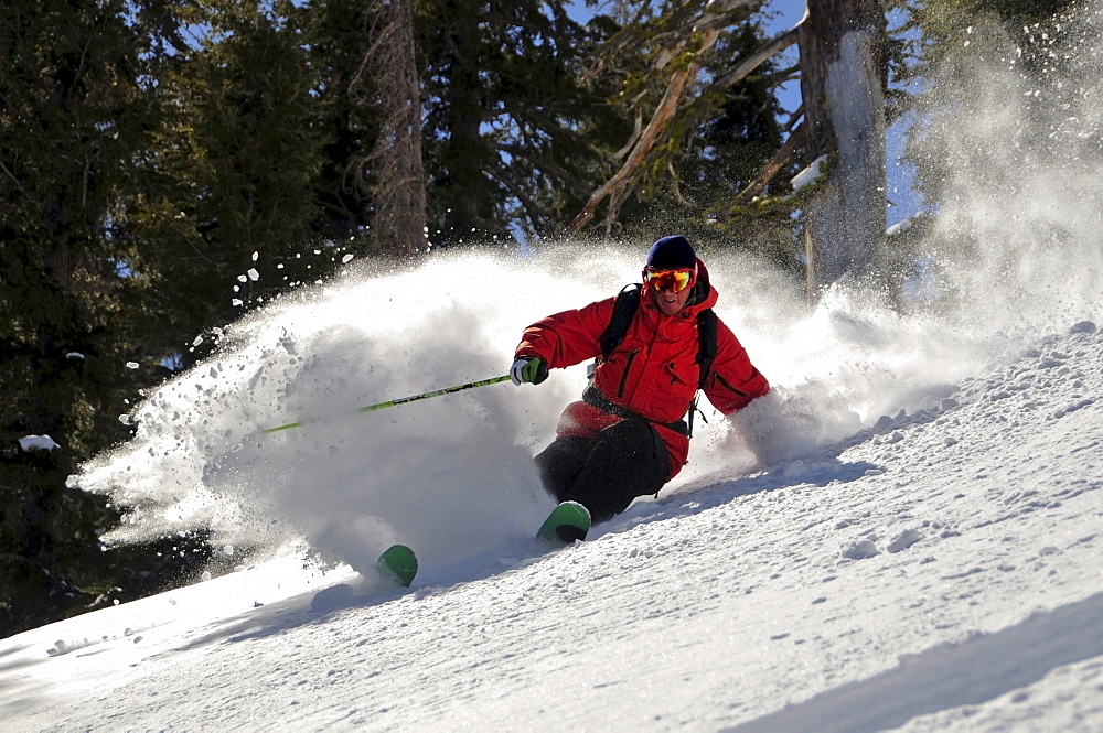 A male skier makes a big powder turn in the Kirkwood backcountry, CA.