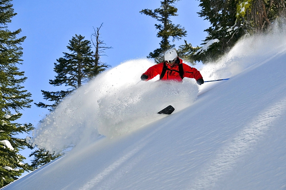 A male skier makes a big powder turn in the Kirkwood backcountry, CA.