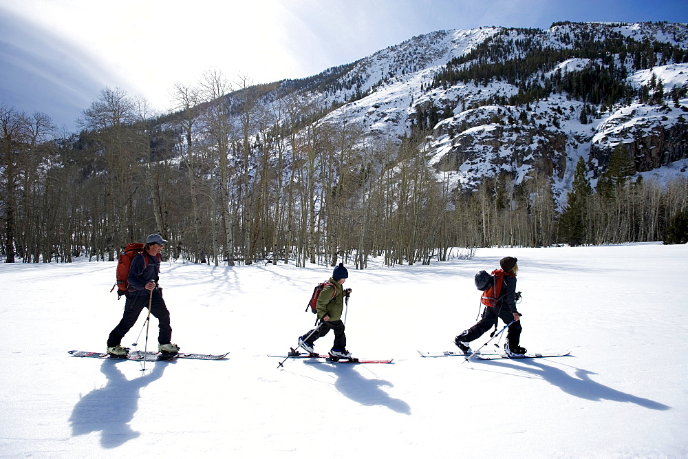 A father and his two sons skinning through the backcountry of California.