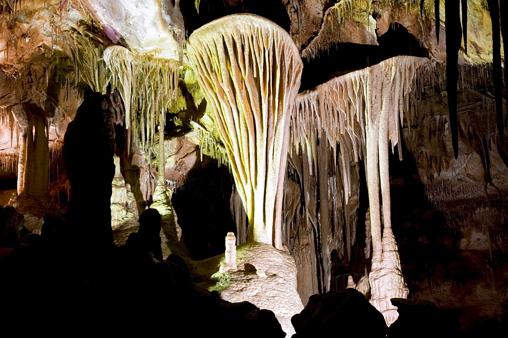 The famous Parachute Shield in the Lehman Caves, Great Basin National Park, NV.