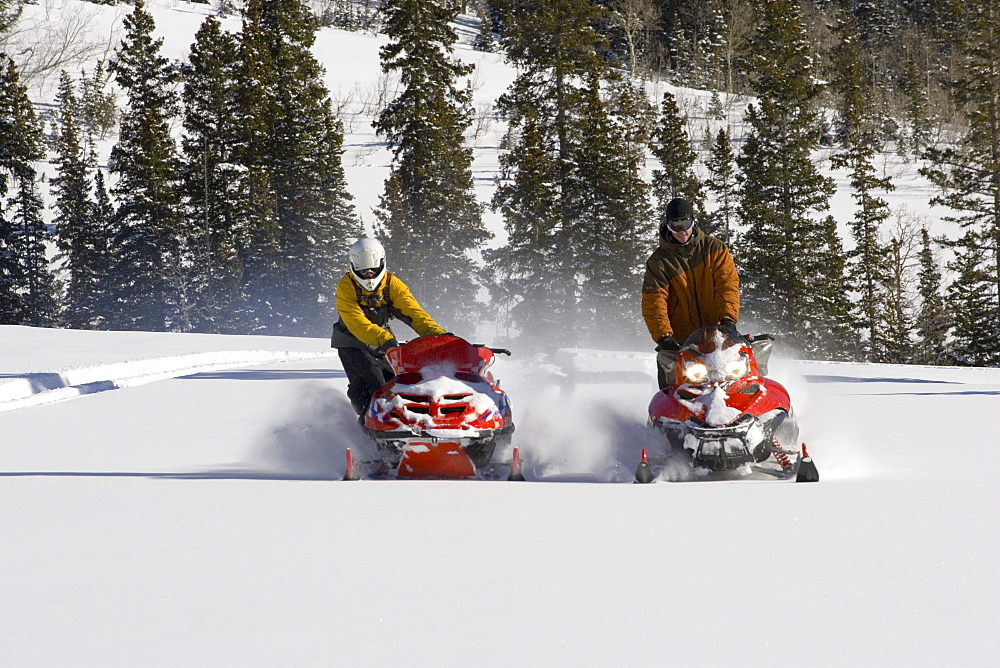 Snowmobiling in the mountains.