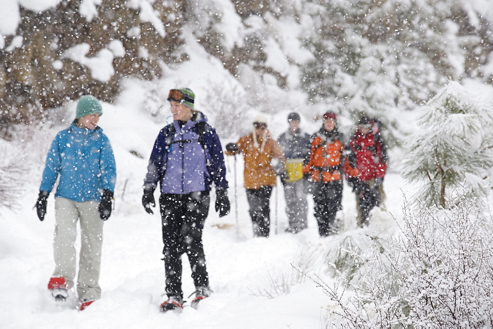 Front view of a medium sized group of adults walking on a trail in the snow in Bend, Oregon.