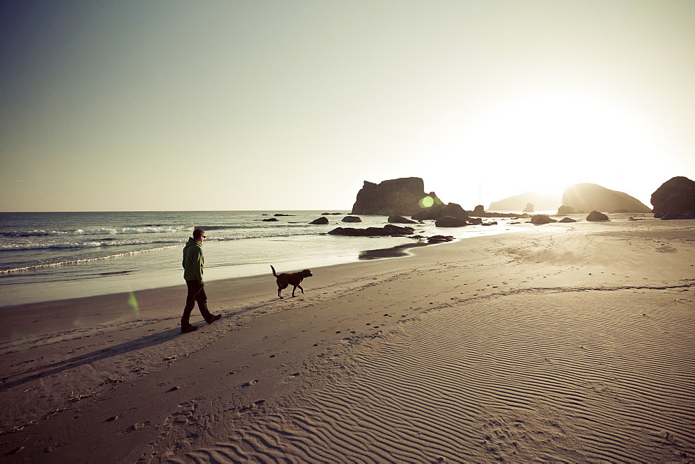 A man and his dog walking on the beach.