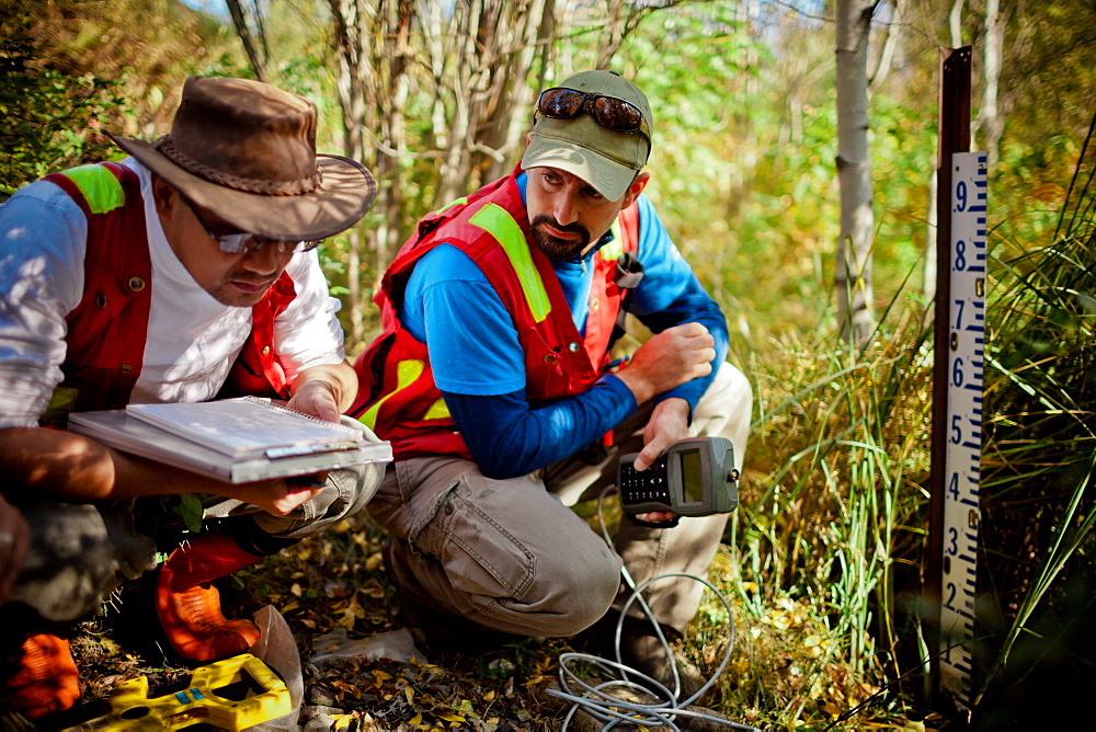 Field Research, Logan Lake, British Columbia, Canada