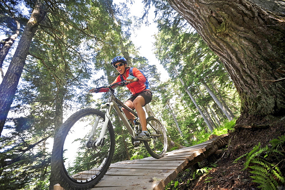 Mountain biker rides the Blueberry Pancake Trail at Alyeska Resort in Girdwood, Alaska June 2011.