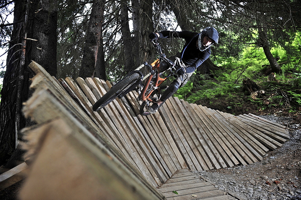 Downhill mountain biker rides the Big Spruce Trail at Alyeska Resort in Girdwood, Alaska June 2011.