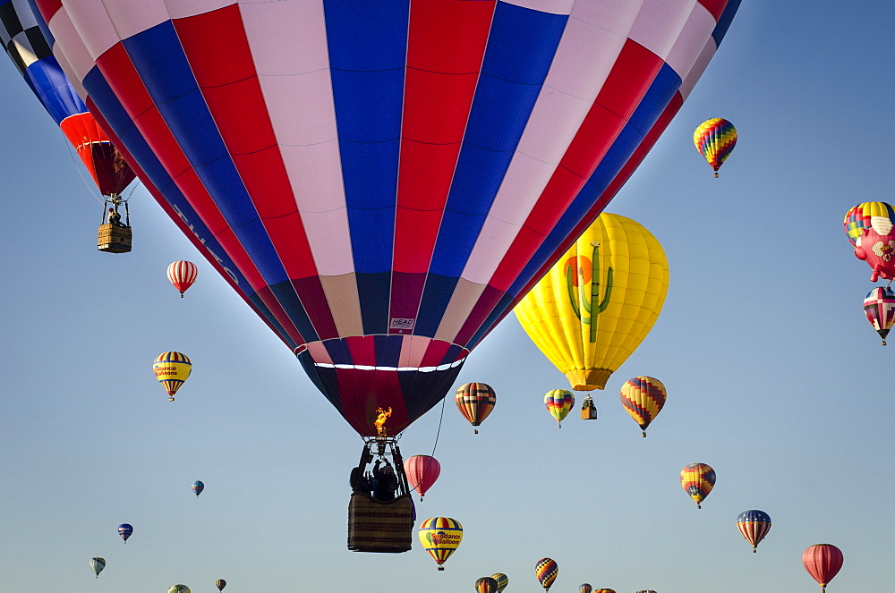 Hot air balloons lift skyward. The Albuquerque International Balloon Fiesta takes place in Albuquerque, New Mexico each year drawing in participants and spectators from across the globe. Highlights include an early morning dawn patrol, followed by mass ascencion of aircraft and an evening glow which all take place at the Balloon Fiesta Park throughout the week long event.