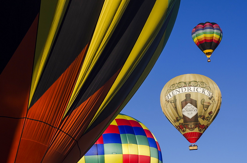 Hot air balloons lift skyward. The Albuquerque International Balloon Fiesta takes place in Albuquerque, New Mexico each year drawing in participants and spectators from across the globe. Highlights include an early morning dawn patrol, followed by mass ascencion of aircraft and an evening glow which all take place at the Balloon Fiesta Park throughout the week long event.