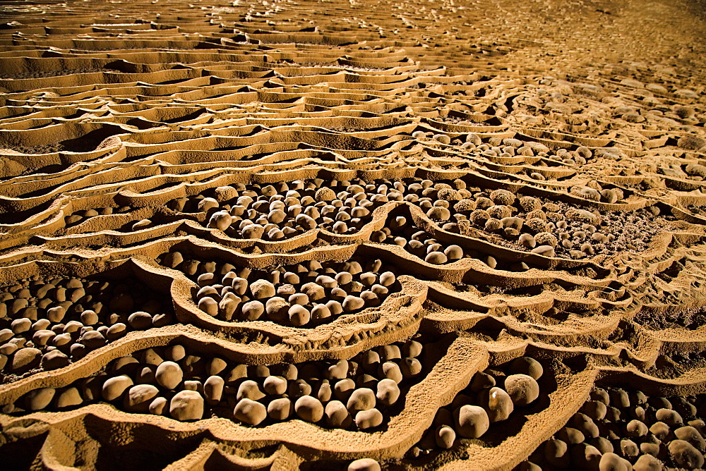 Hang Son Doong, located in Phong Nha Ke Bang National Park, Vietnam, is home to a high quantity of rare cave pearls.