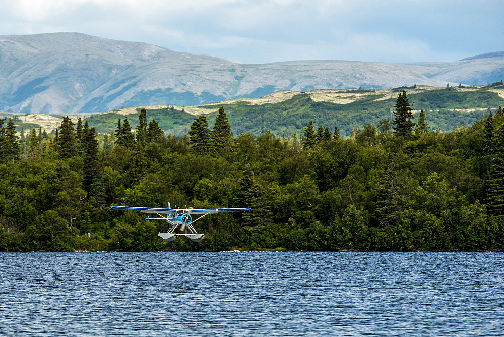 Float plane just about to touch down while landing in Illiamna Alaska.