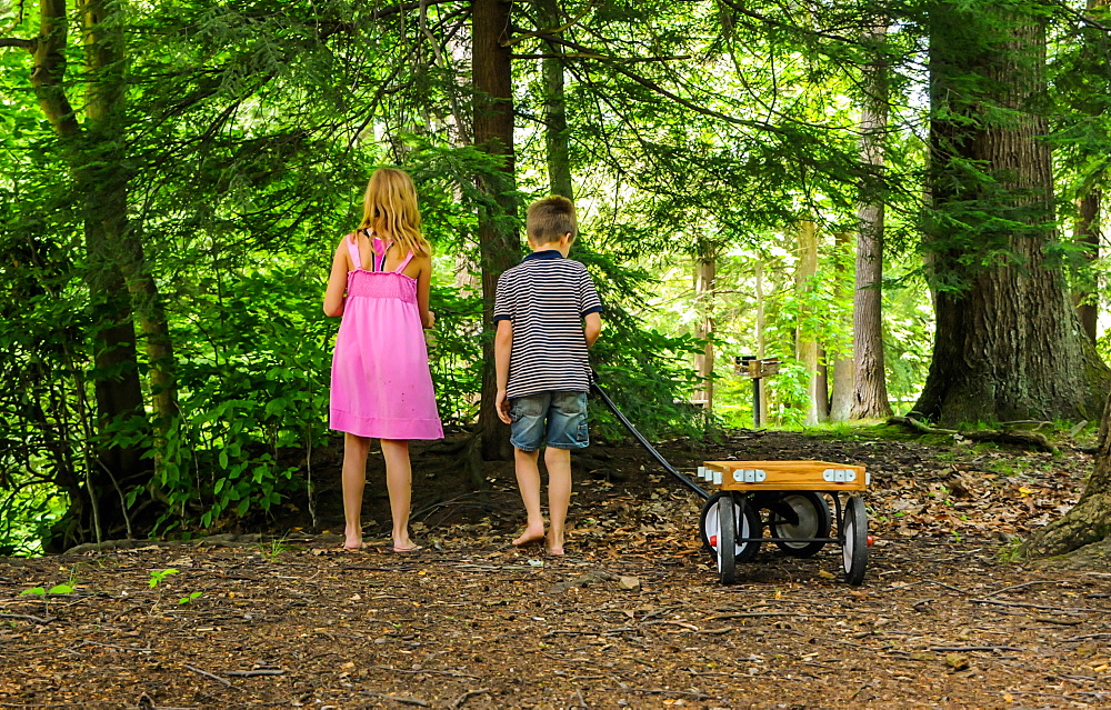 A boy and girl walk in the woods witha wagon at Koosier State Park PA during the summer