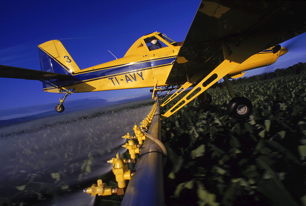 An airplane sprays the systemic fungicide SICO on the fields of the San Alberto Chiqita farms.