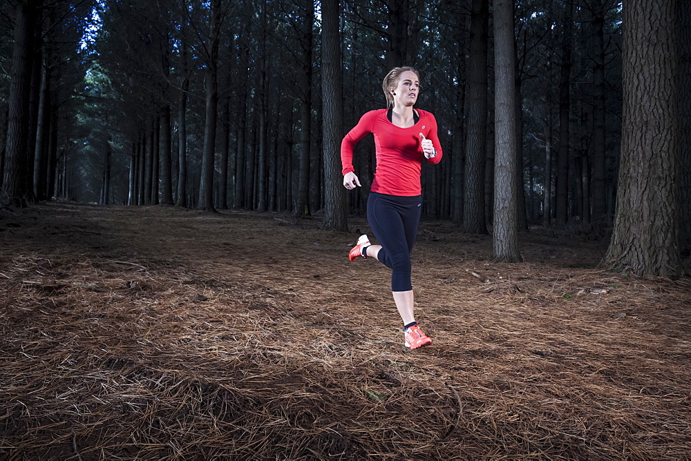 Female athlete running on a trail through a pine plantation in North West Tasmania.