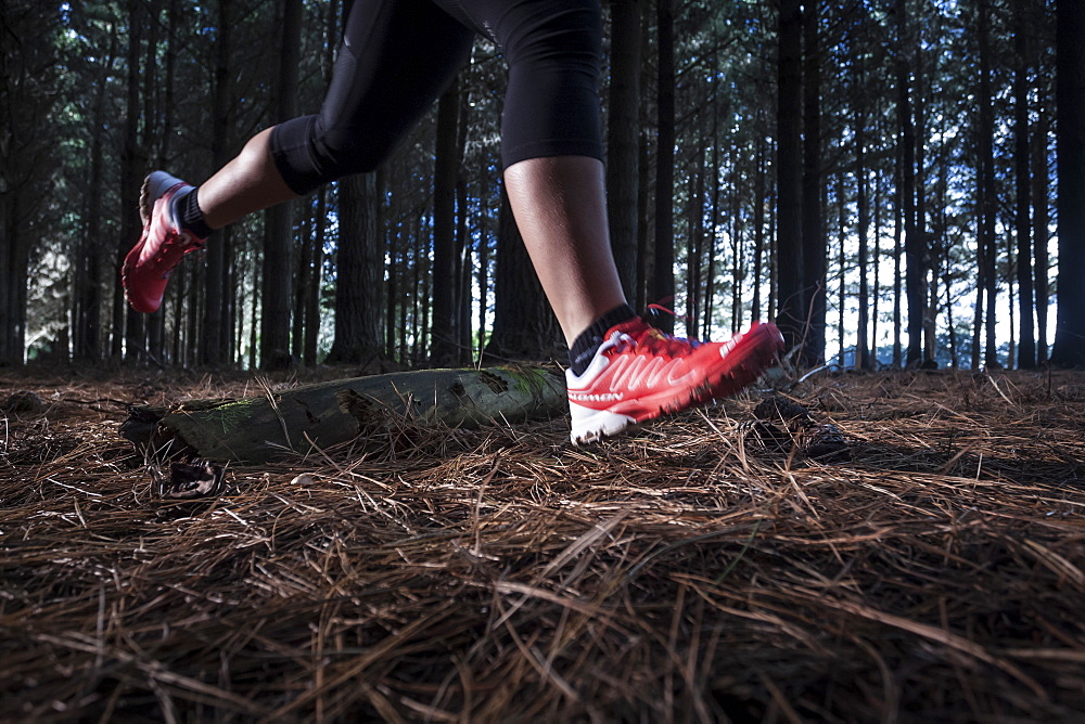 Female athlete running on a trail through a pine plantation in North West Tasmania.