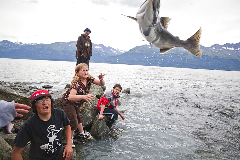 Children catch and throw salmon over the access gate at the Salomon Gulch Hatchery near Valdez, Alaska. The gate opens and closes on a schedule to regulate the return of salmon to the hatchery.