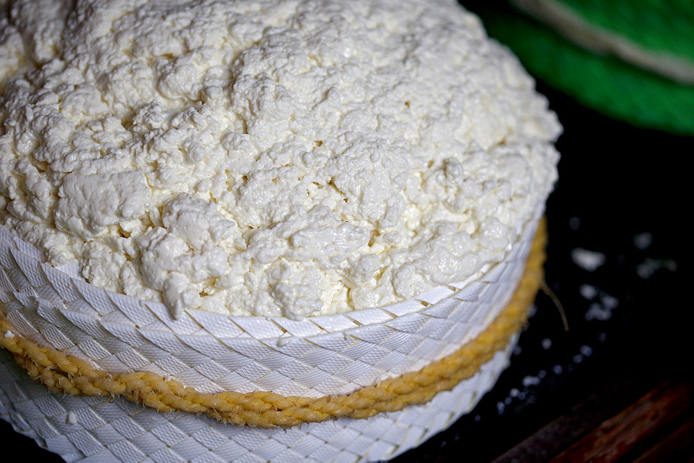 Pecorino cheese in Quesos Oliva artisanal cheese making workshop in Villaluenga del Rosario, Sierra de Grazalema Natural Park, Cadiz province, Andalusia, Spain