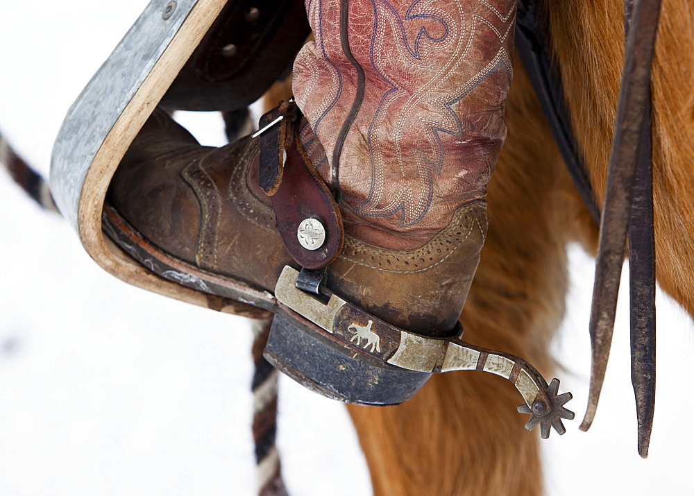 Close up shot of boot and spur of a girl riding a horse.