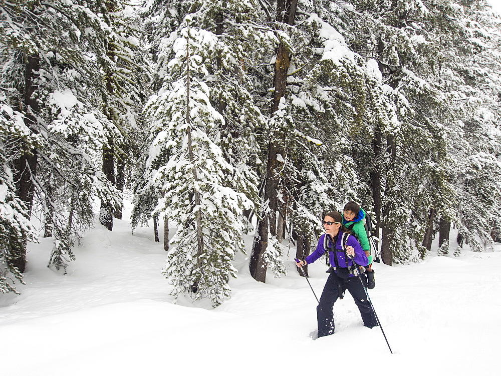 Mom and son snowshoeing toward the the Peter Grubb Hut, Sierra Nevada