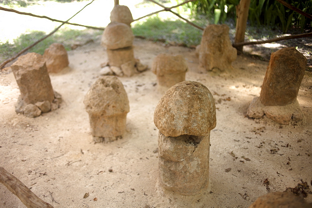 Stone sculptures of penises are displayed in the Mayan city of Uxmal, Yucatan Peninsula, Mexico