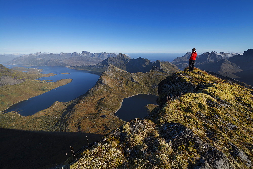 Female hiker on the summit of Branntuva (702m) with view over Selfjord, Moskenesøy, Lofoten Islands, Norway
