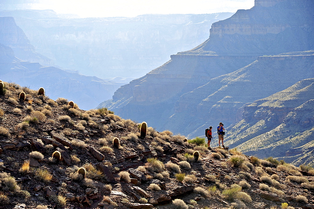 Hikers follow a route along the Colorado River that connect Tapeats Creek and Thunder River to Deer Creek in the Grand Canyon outside of Fredonia, Arizona November 2011.  The 21.4-mile loop starts at the Bill Hall trailhead on the North Rim and descends 2000-feet in 2.5-miles through Coconino Sandstone to the level Esplanada then descends further into the lower canyon through a break in the 400-foot-tall Redwall to access Surprise Valley.  Hikers connect Thunder River and Tapeats Creek to a route along the Colorado River and climb out Deer Creek.