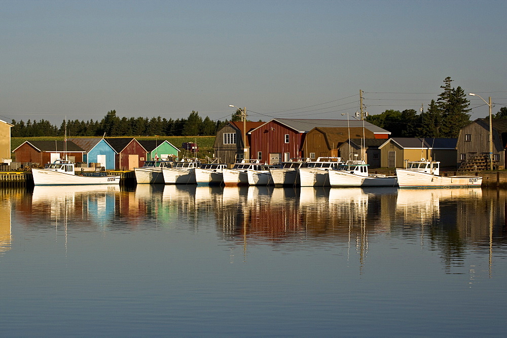 Fishing and oyster boats, Malpeque Harbour, PEI, Canada