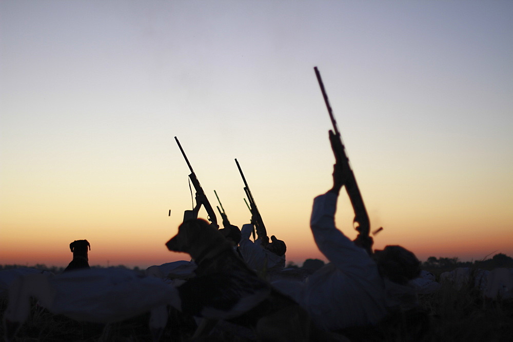 Multiple goose hunters fire into the sky while a hunting dog looks on.