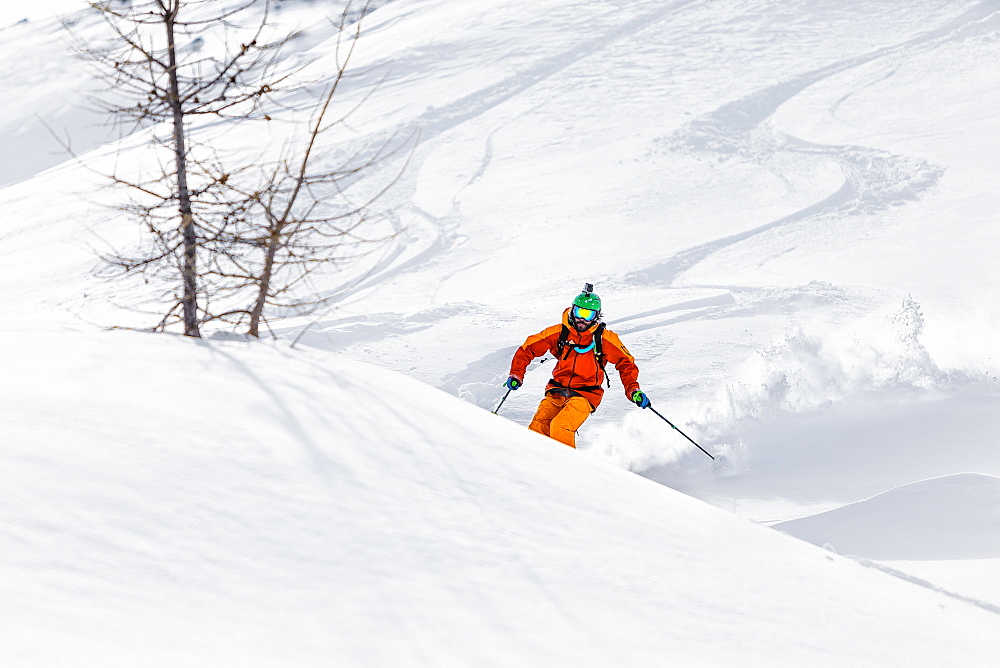 a man plays with his telemark skis in a beautiful wood, in the west italian alps