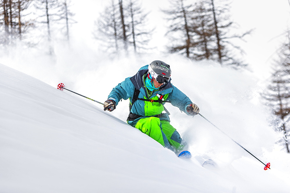 a man turns with his skis in a beautiful powder wood in the west italian alps