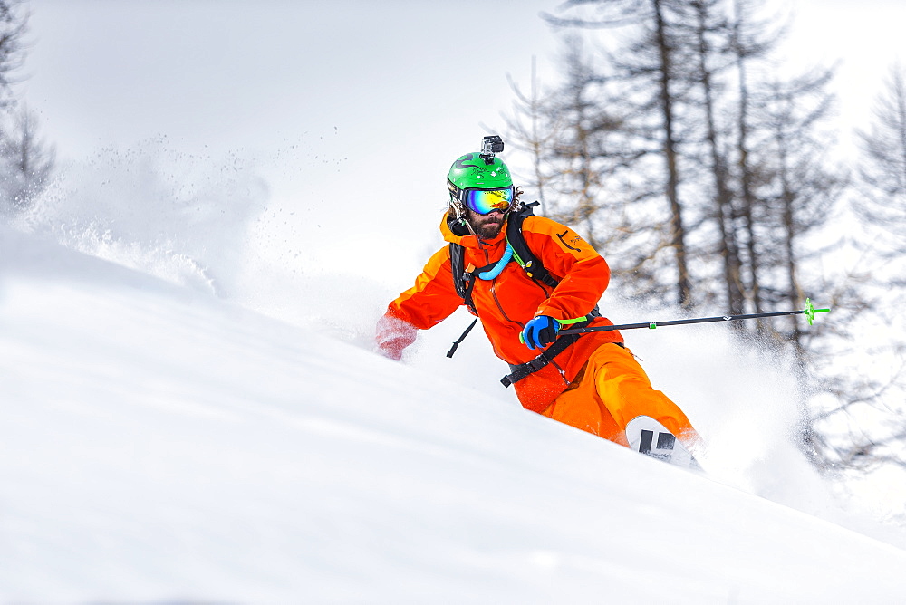 a man turns with his telemark skis in a beautiful wood in the west italian alps