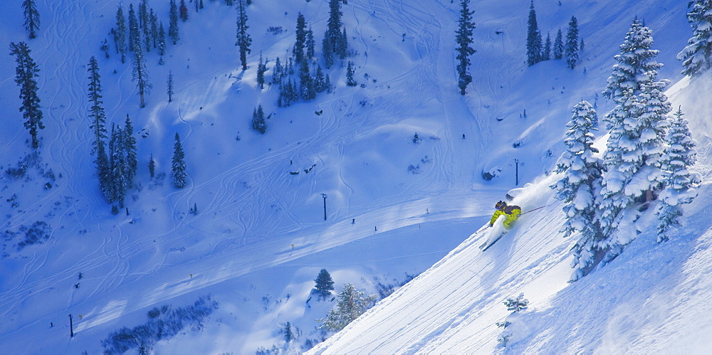 Male skier enjoying the fresh powder snow. Photo by Thomas Kranzle, United States of America