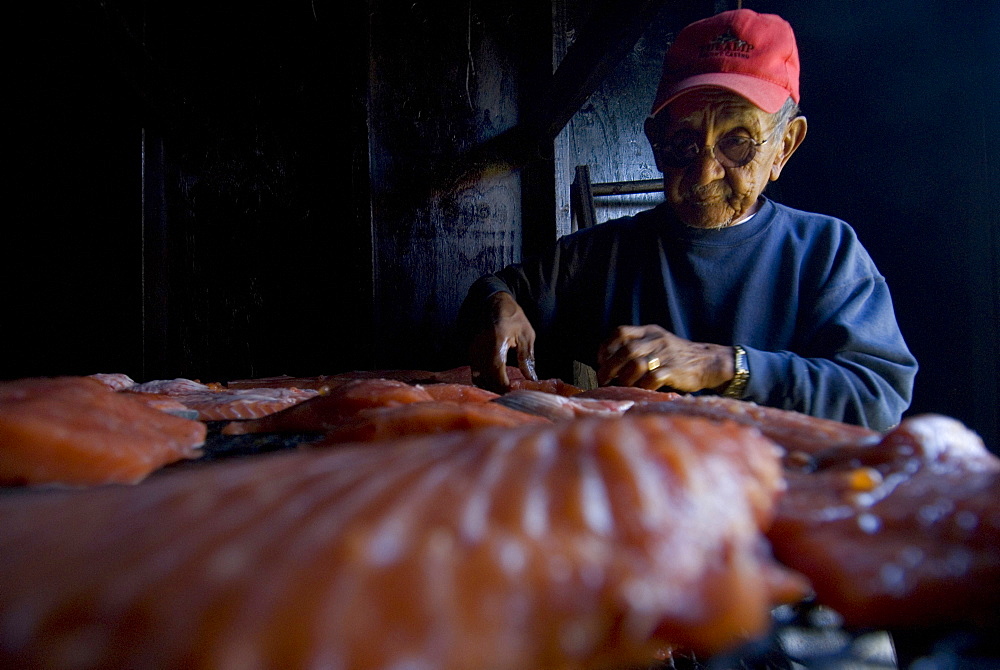 Oct 7, 2008 Mt Vernon, Washington Filletting and smoking salmon with tribal member Mike Cladoosby who has been fishing and preparing fish this way for over 60 yrs, United States of America