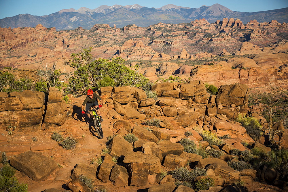 Man mountain biking on a trail in a desert environment.