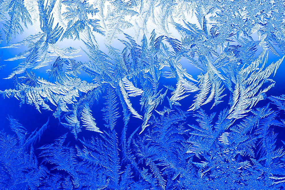 Ice crystals form on a window during sub zero temperatures on December 14, 2008 in Fort Collins, Colorado.