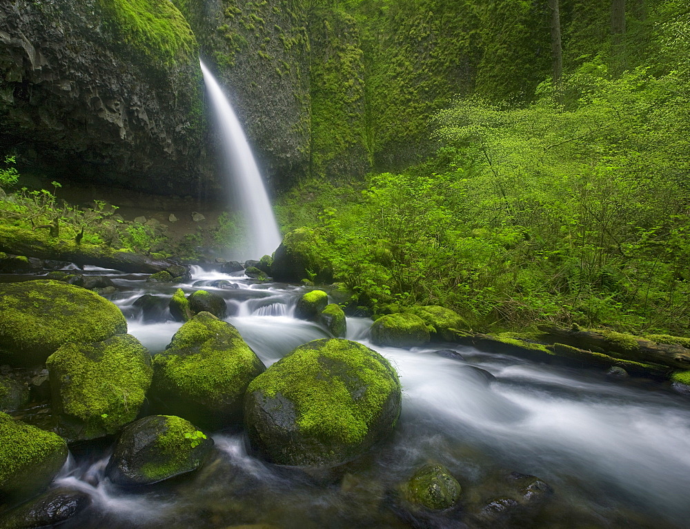 Large waterfall in the heart of Oregon's Columbia Gorge.