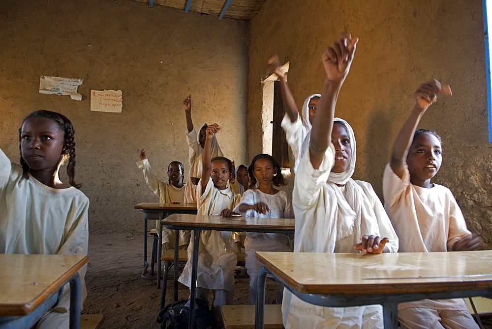 Children in a primary school in El-Ar - a village in northern Sudan.