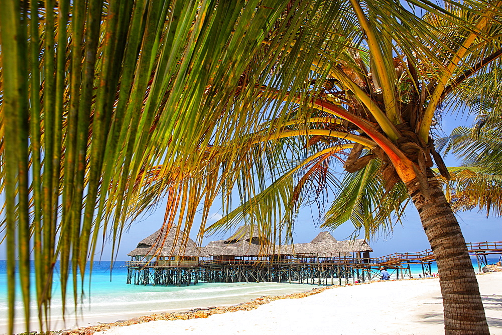 Tanzania, Zanzibar Archipelago, Unguja island (Zanzibar), Nungwi