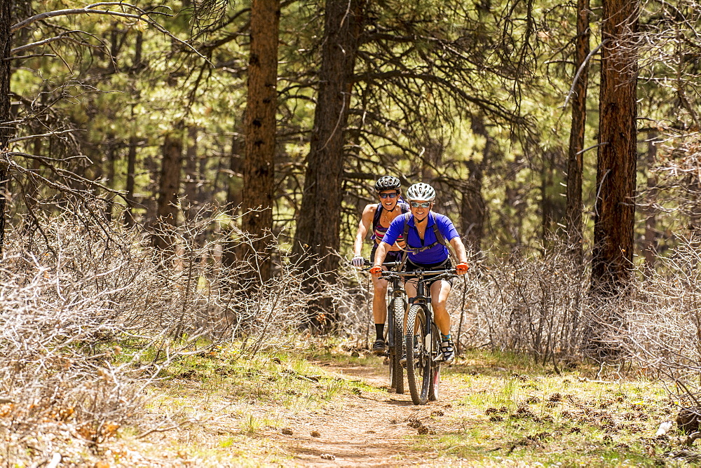 Two women mountain biking on the Boggy Draw Trail near Dolores, Colorado.