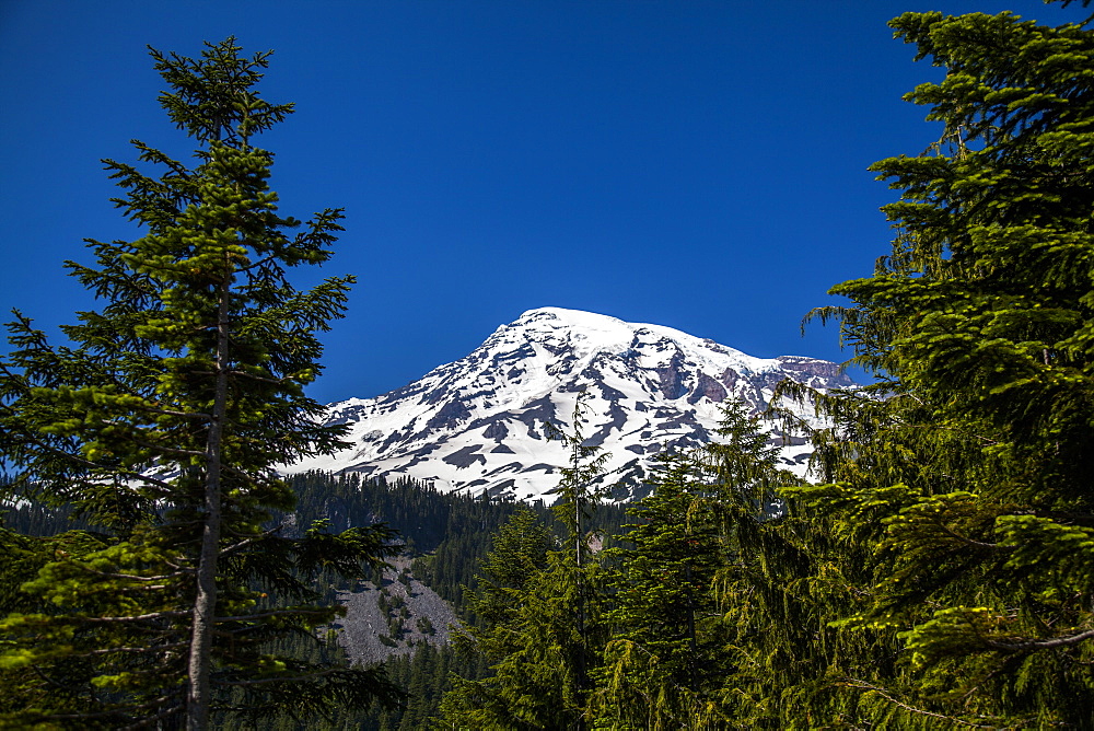 A view of Mount Rainier National Park, Washington, USA on a sunny day.