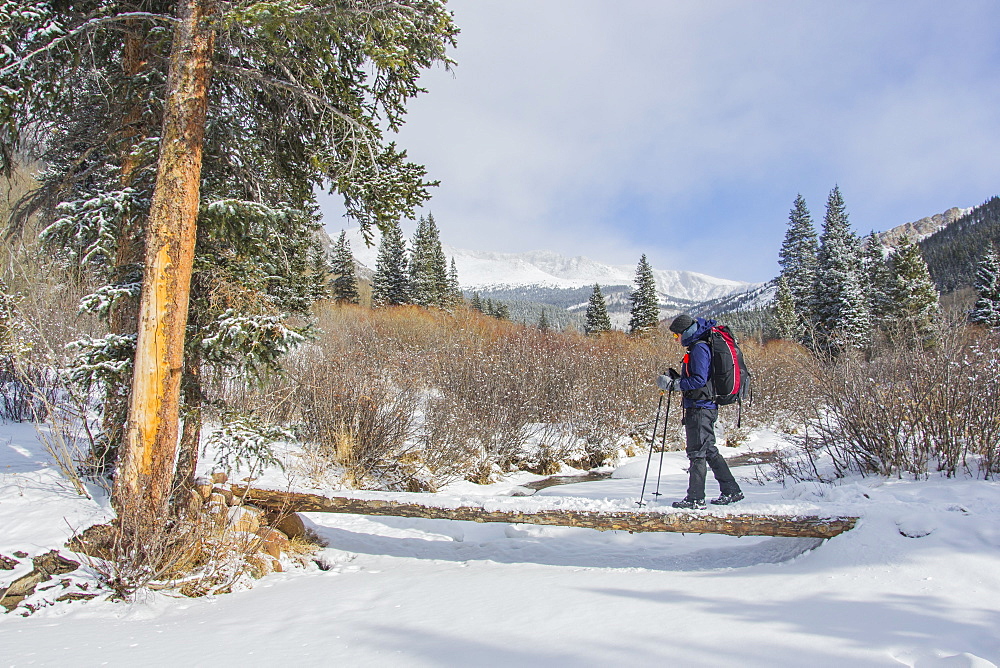 Crossing a small bridge over a frozen creek, Mt. Evans Wilderness, Colorado, United States of America