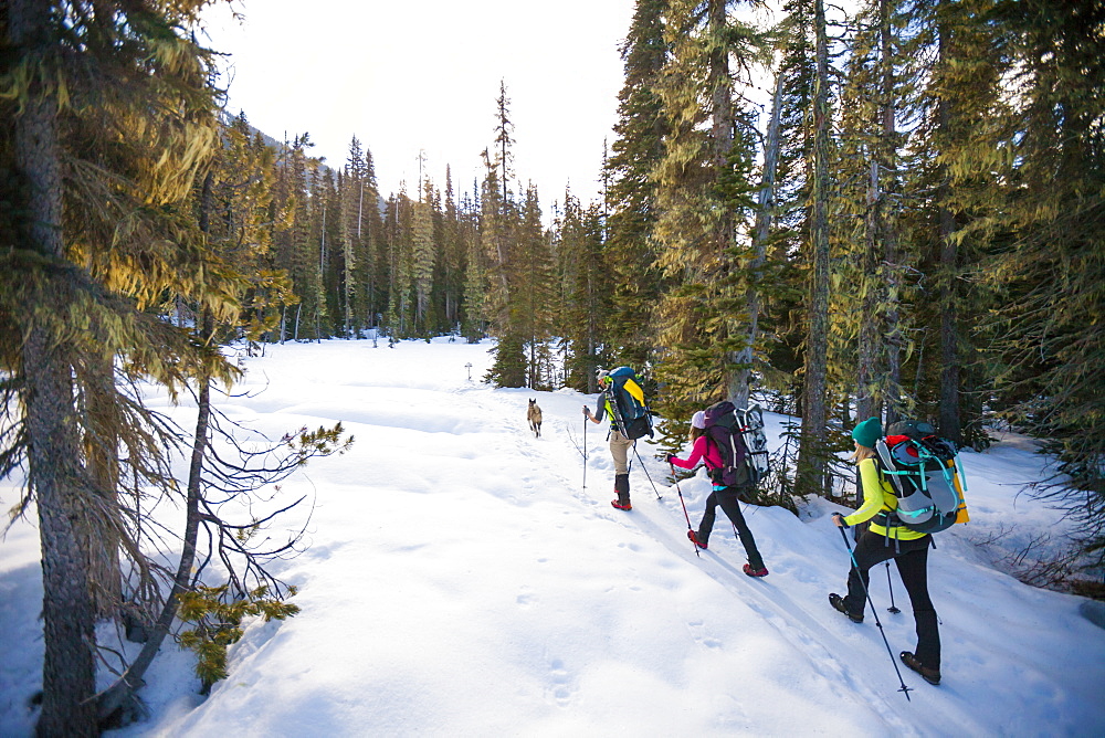 Three backpackers hike over snow in the Coast Mountain Range en route Joffre Peak in British Columbia, Canada, Pemberton, British Columbia, Canada